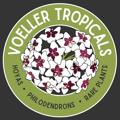 VoellerTropicals